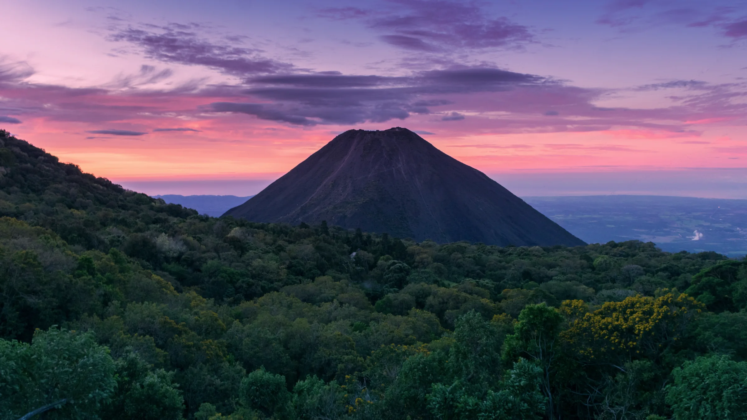 Cono del volcán Izalco sobre el bosque bajo un cielo rosado.