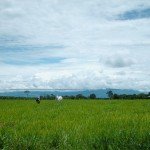 llanos-orientales