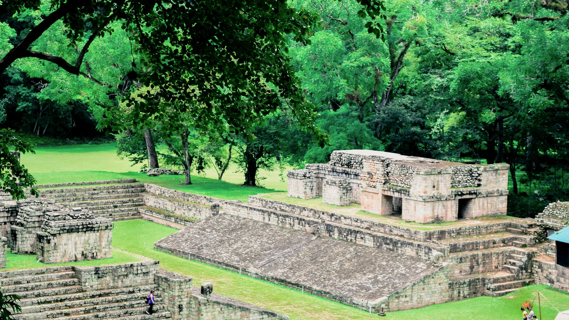 Muros y escalinatas de piedra entre césped y árboles en Copán.